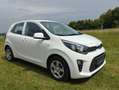 Kia Picanto 1,0 Lenkrad-Sitzheizung+Winterreifen+Felgen Weiß - thumbnail 1