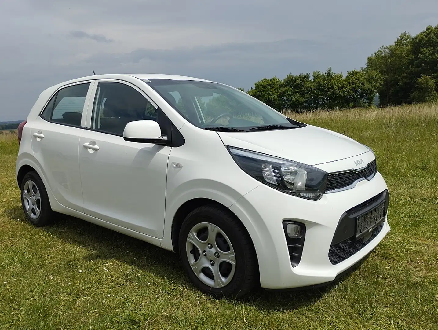 Kia Picanto 1,0 Lenkrad-Sitzheizung+Winterreifen+Felgen Weiß - 1