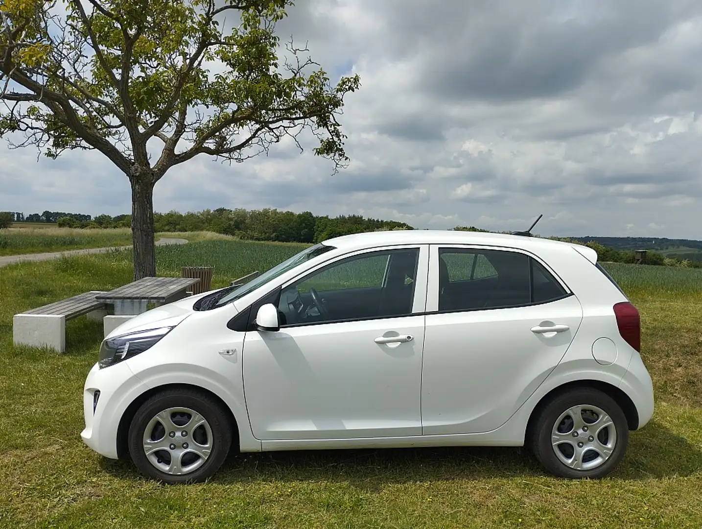 Kia Picanto 1,0 Lenkrad-Sitzheizung+Winterreifen+Felgen Weiß - 2