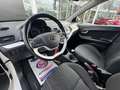 Kia Picanto 1.0 CVVT First Edition | Eerste Eigenaar | Dealero Blanc - thumbnail 5
