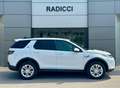 Land Rover Discovery Sport Discovery Sport 2.0 TD4 163 CV AWD Auto S - AUTOC Weiß - thumbnail 8