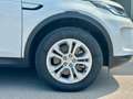 Land Rover Discovery Sport Discovery Sport 2.0 TD4 163 CV AWD Auto S - AUTOC Weiß - thumbnail 9