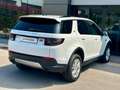 Land Rover Discovery Sport Discovery Sport 2.0 TD4 163 CV AWD Auto S - AUTOC Weiß - thumbnail 2