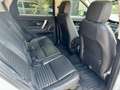 Land Rover Discovery Sport Discovery Sport 2.0 TD4 163 CV AWD Auto S - AUTOC Weiß - thumbnail 5