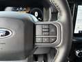 Ford F 150 Supercrew LARIAT Black Package V8 5.0L FLEXFUEL Gris - thumbnail 12
