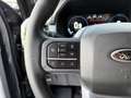 Ford F 150 Supercrew LARIAT Black Package V8 5.0L FLEXFUEL Gris - thumbnail 11