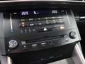 Lexus IS 300 300h Business Line | Premium Navigatie | Parkeerse Grau - thumbnail 23