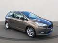 Ford C-Max Grand Trend 1.0 EcoBoost SHZ LenkradHZG Berganfahr Braun - thumbnail 18