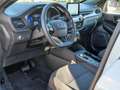 Ford Kuga 2.5 PHEV ST-Line | NAVIGATIE | CAMERA | Grijs - thumbnail 20