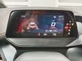 CUPRA Born 58kWh Sport*423km*360°-Kamera*ACC*LED*SHZ Grau - thumbnail 27