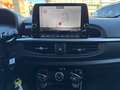 Kia Picanto TITAN 1.0 *7 Jahre Werksgarantie, Navi, Klima, Rüc Grau - thumbnail 9