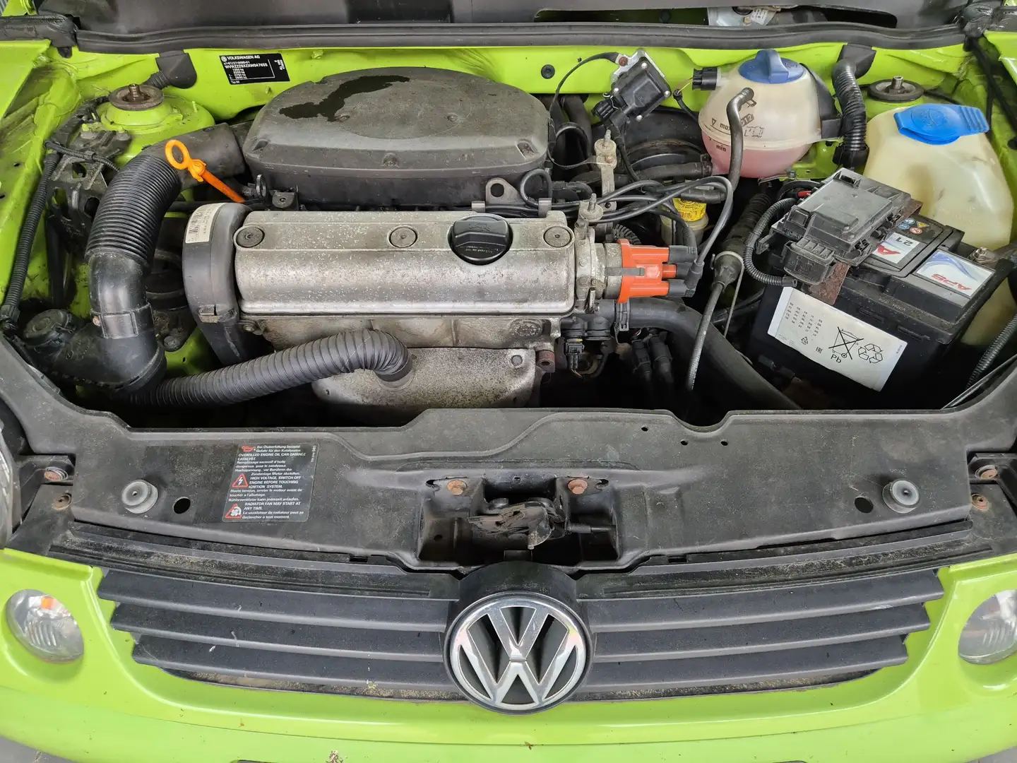 Volkswagen Lupo 1.0 Grün Grün - 2