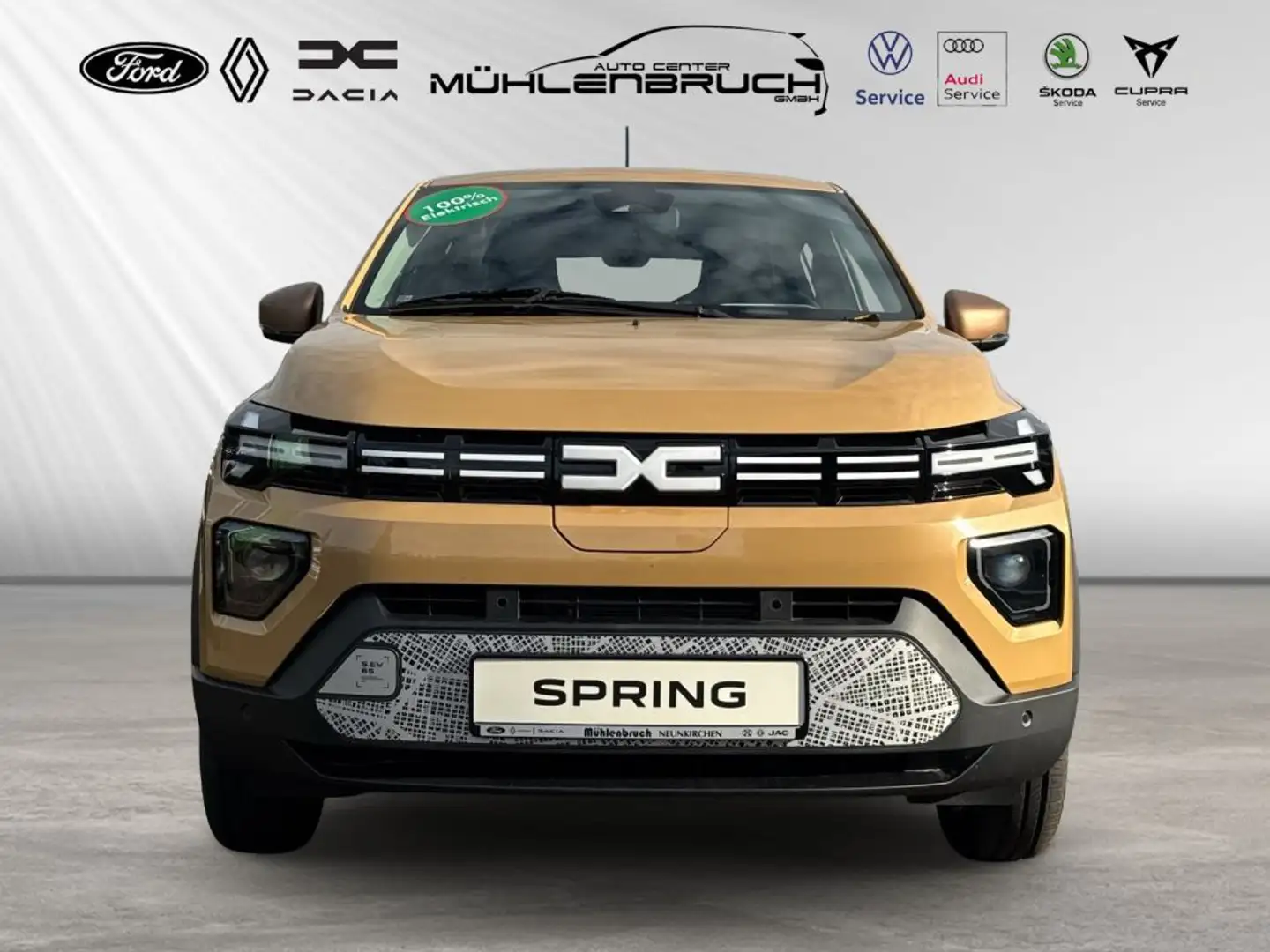 Dacia Spring Electric 65 Extreme Beige - 2