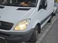Mercedes-Benz Sprinter 313 CDI HD 3,5t / 3250 mm Weiß - thumbnail 1