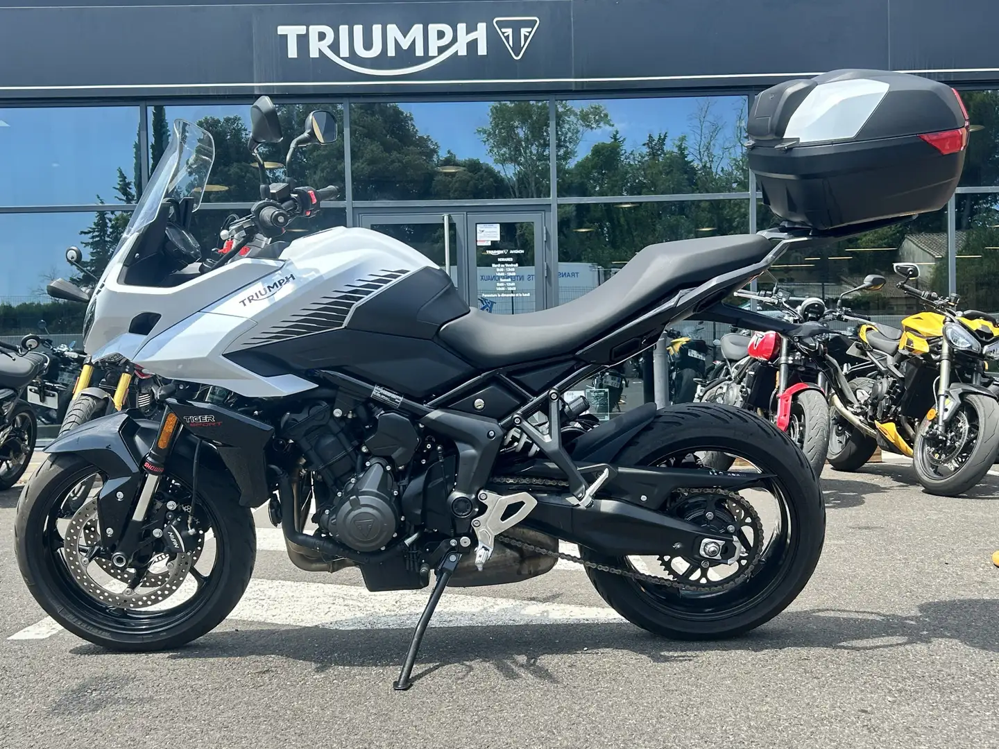 Triumph Tiger Sport Mauve - 2