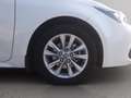 Toyota Corolla touring sports 1.8h active auto Bianco - thumbnail 11