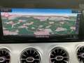 Mercedes-Benz CLS 300 d/AMG/OPEN DAK/360°CAMERA/FULL LED/CAR PLAY Argent - thumbnail 30