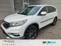 Honda CR-V Lifestyle 4WD 1.6 DTEC AT/Bi-Xenon/Shz/Kamera/Klim Blanc - thumbnail 1