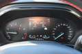 Ford Focus Turnier ST-Line Aut. 155Ps LED/ACC/RFK/GJR Gris - thumbnail 13