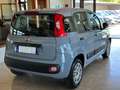 Fiat Panda New 1.2 69 cv. EASY (Kit 5° posto) Grigio - thumbnail 3