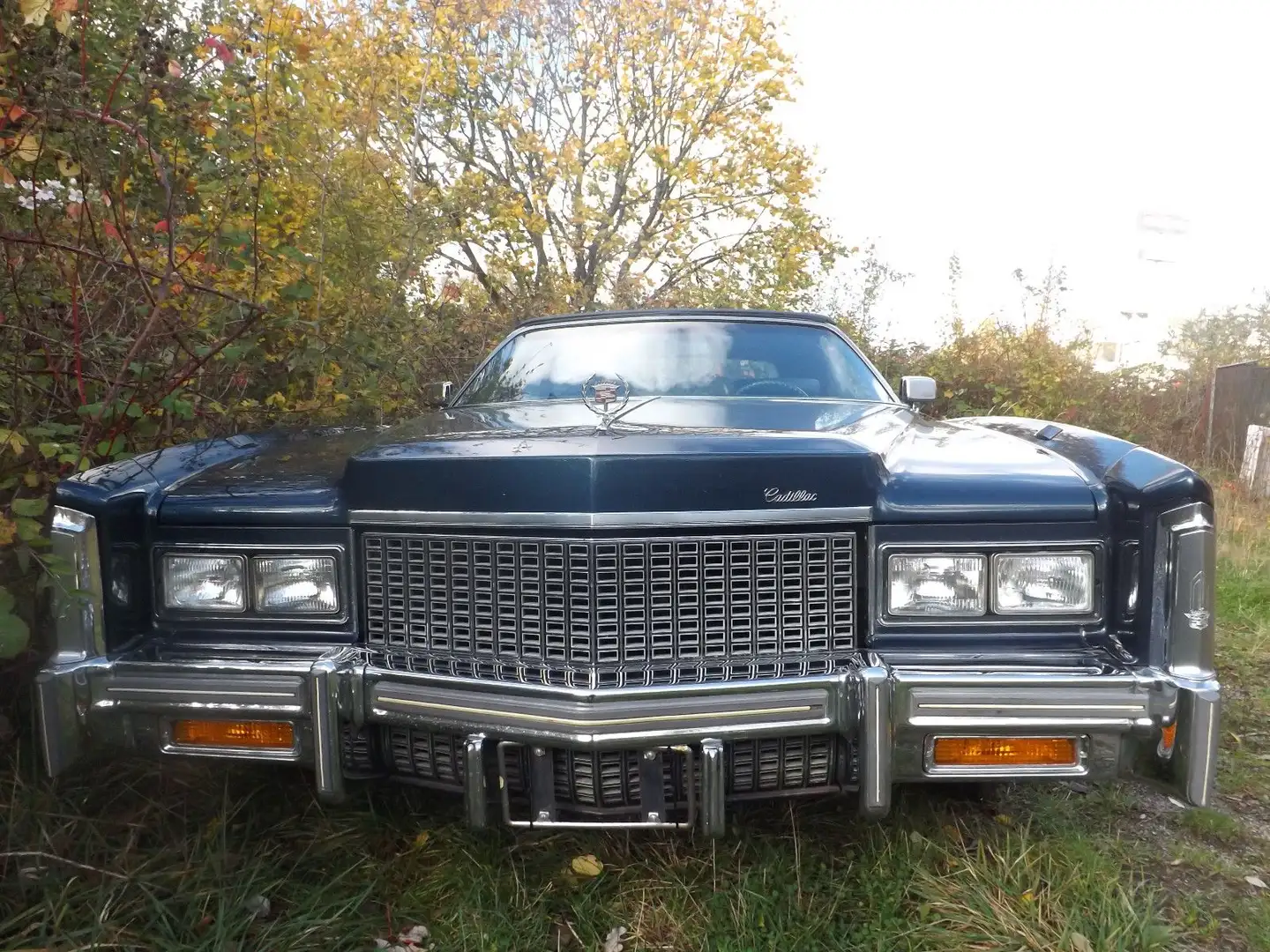 Cadillac Eldorado Cabrio, perf. Optik,Technik und Preis! Blau - 2