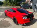 Ford Mustang FASTBACK V8 5.0 421 GT coupé Rouge - thumbnail 17