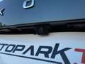 Skoda Octavia Combi 2,0 TDI Style DSG Gris - thumbnail 10