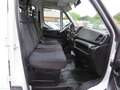 Iveco Daily 2,3 Doppelkabine 35 S ... 3,5to AHK 1.Hand Weiß - thumbnail 10