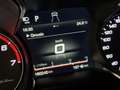 Alfa Romeo Stelvio 2.0 T 281PK AWD automaat Special Ed. Q4 / LED / 20 Azul - thumbnail 20