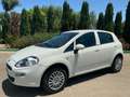 Fiat Punto Punto III 2012 5p 1.4 natural power Young 70cv Bianco - thumbnail 13