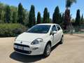 Fiat Punto Punto III 2012 5p 1.4 natural power Young 70cv Bianco - thumbnail 1