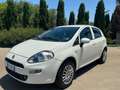 Fiat Punto Punto III 2012 5p 1.4 natural power Young 70cv Bianco - thumbnail 14