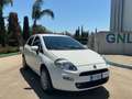 Fiat Punto Punto III 2012 5p 1.4 natural power Young 70cv Bianco - thumbnail 4