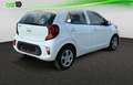Kia Picanto 1.0 DPi Concept Blanco - thumbnail 5