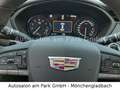 Cadillac XT4 350T AWD Sport - Panorama,Driver&Komfort-Pak Bianco - thumbnail 14