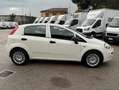 Fiat Punto 1.3mjt 95cv AUTOCARRO 4 POSTI Bianco - thumbnail 2