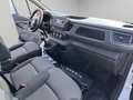 Nissan Primastar 2.0 dCi 110CV PC-TN Bus 9 POSTI Bianco - thumbnail 13