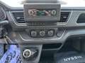 Nissan Primastar 2.0 dCi 110CV PC-TN Bus 9 POSTI Bianco - thumbnail 9