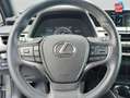 Lexus UX 300e 300e Pack Camera Carplay Gris - thumbnail 12