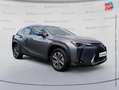 Lexus UX 300e 300e Pack Camera Carplay Gris - thumbnail 3