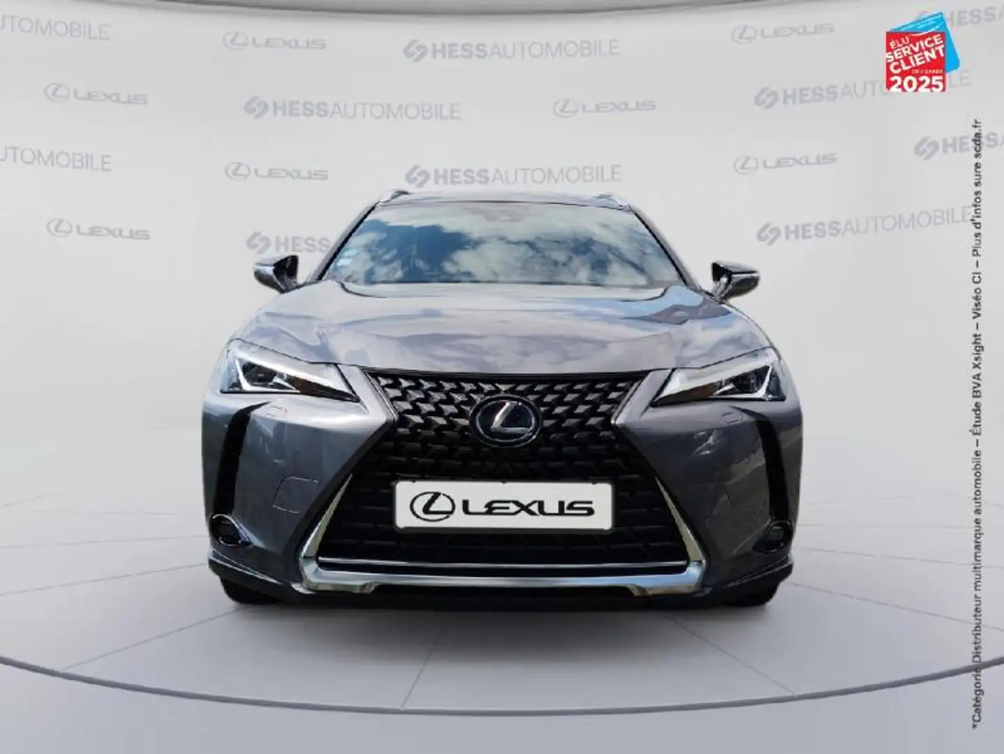 Lexus UX 300e 300e Pack Camera Carplay Gris - 2