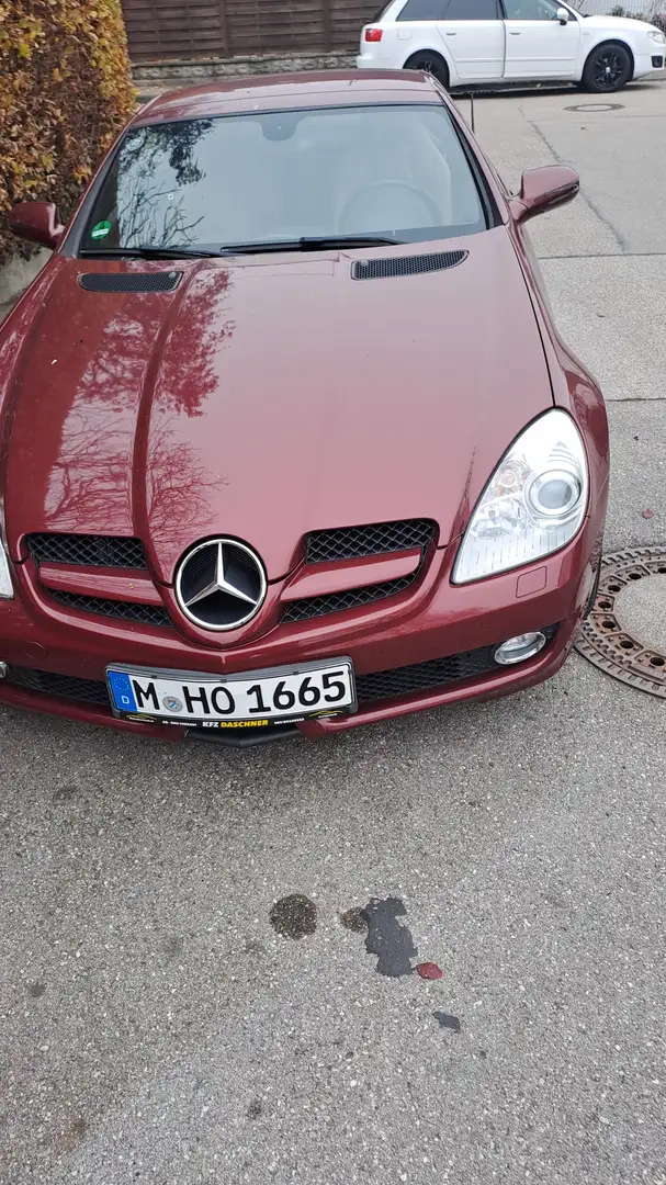 Mercedes-Benz SLK 200 SLK 200 Braun - 2