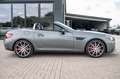 Mercedes-Benz SLC 43 AMG SLC -Klasse Roadster SLC 43 AMG Grijs - thumbnail 13
