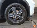 Lexus UX 250h 2.0 Business Gris - thumbnail 25