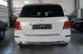 Mercedes-Benz GLK 350 CDI BlueEfficiency 4Matic*Leder*AHK*Kama Weiß - thumbnail 8