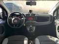 Fiat Panda Panda 1.2 Lounge s - thumbnail 11