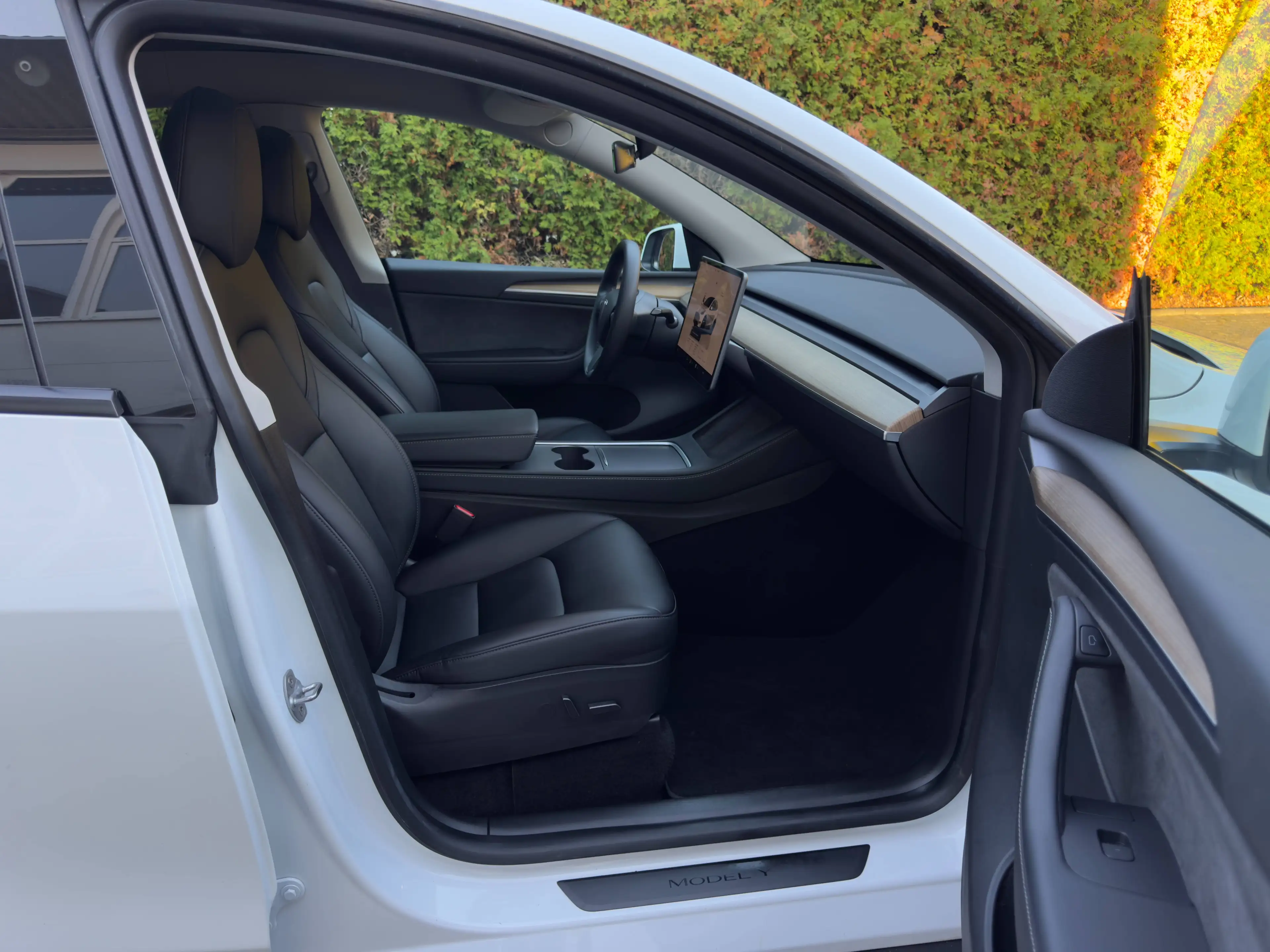 Tesla Model Y Long Range Dual AWD — photo 12