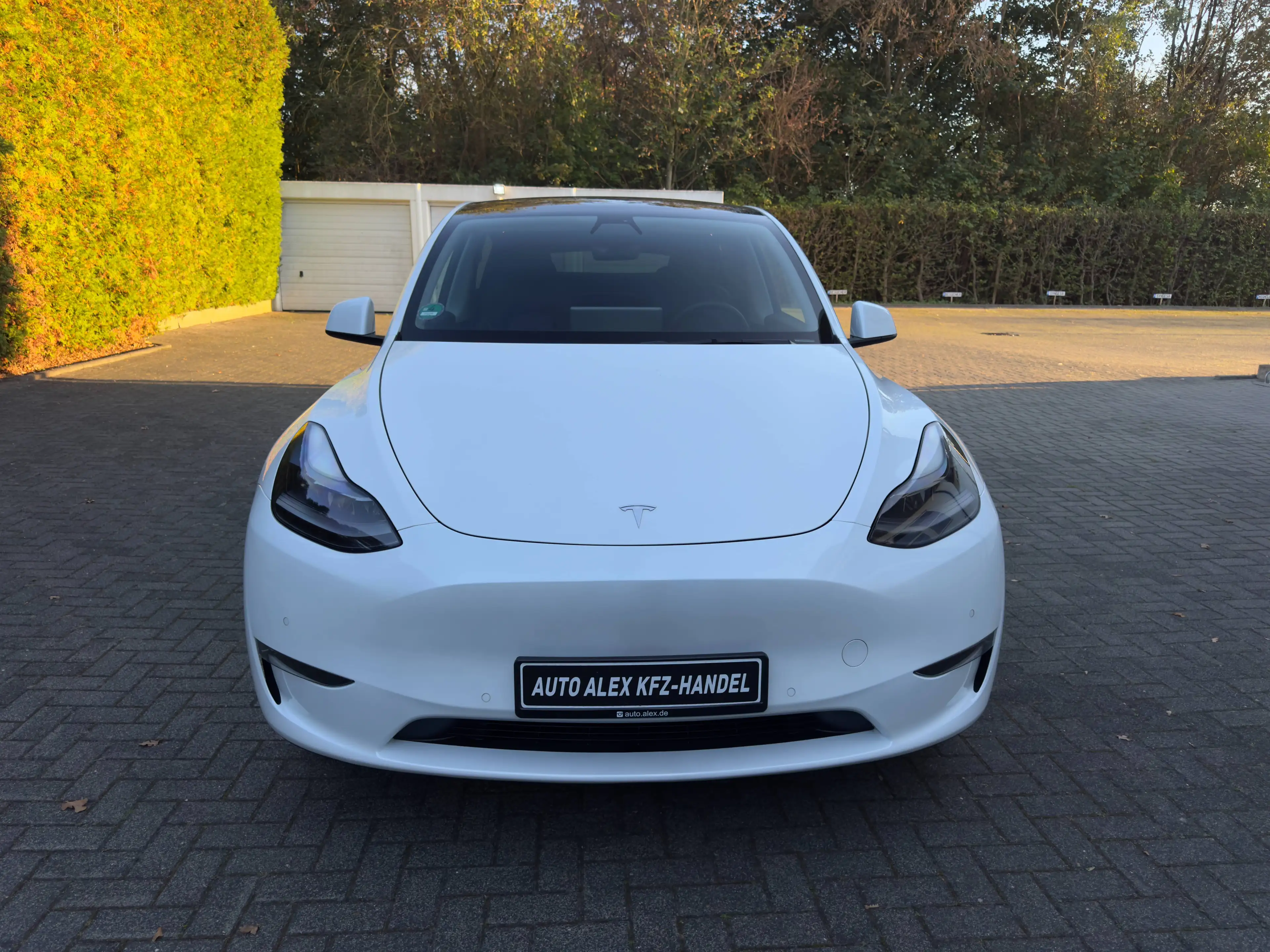 Tesla Model Y Long Range Dual AWD — photo 5