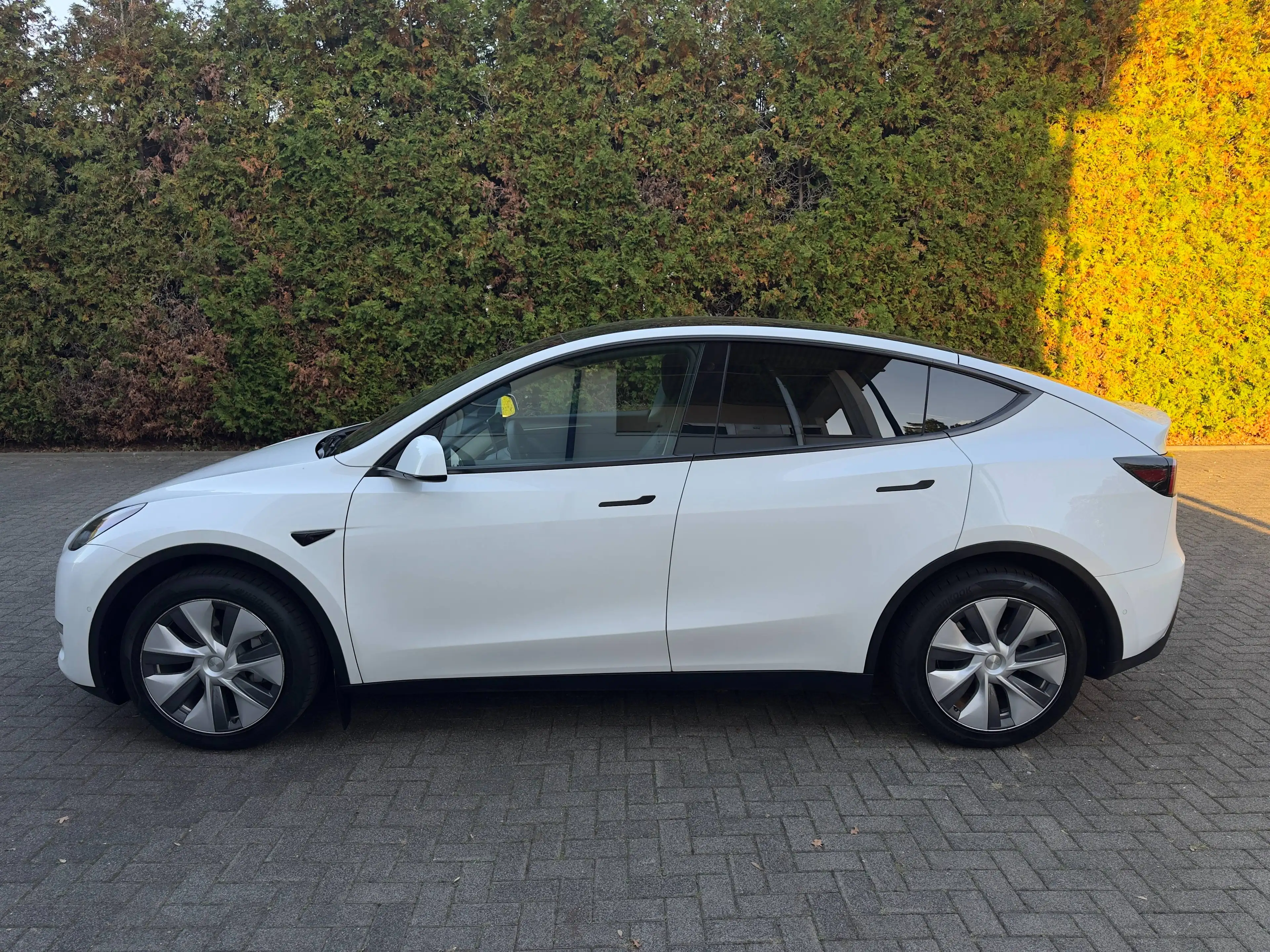 Tesla Model Y Long Range Dual AWD — photo 3