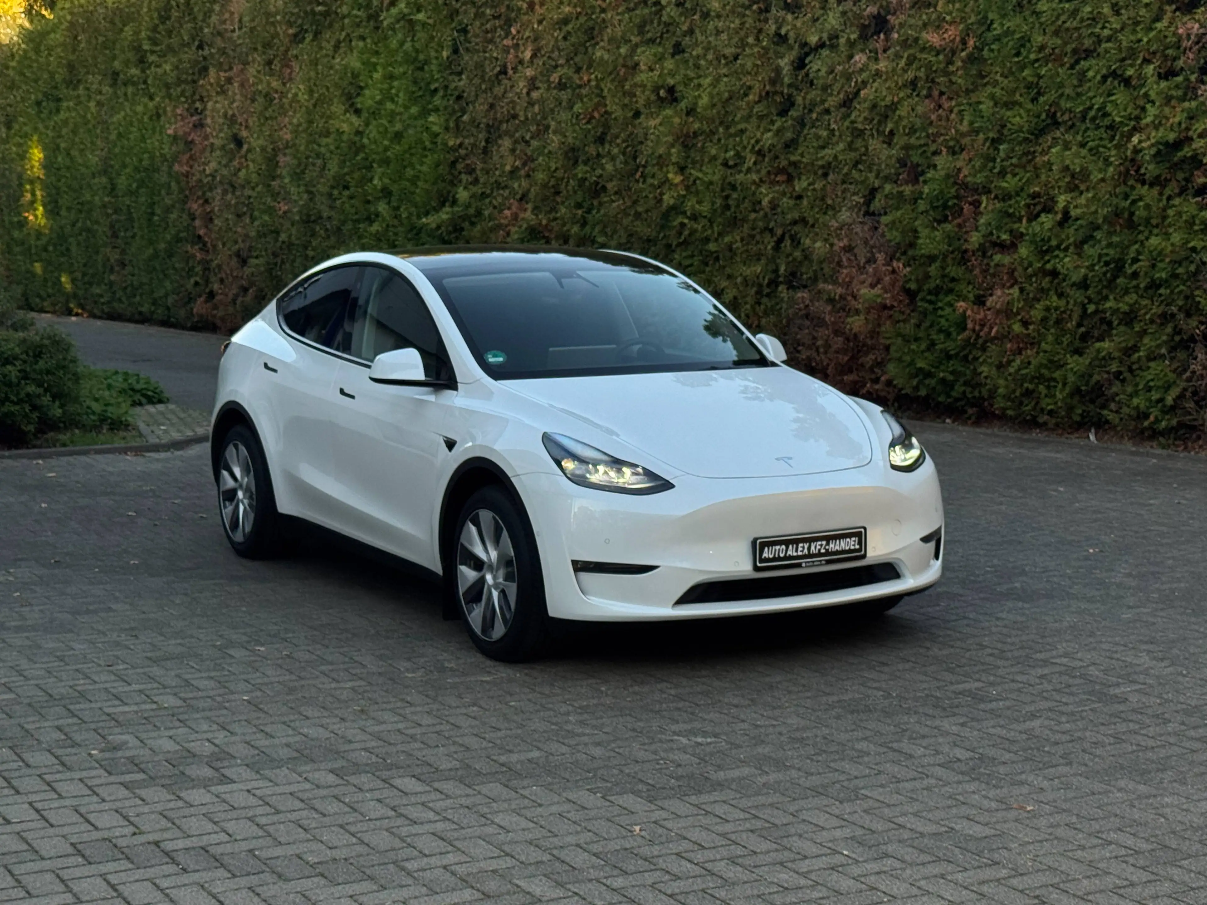 Tesla Model Y Long Range Dual AWD — photo 6